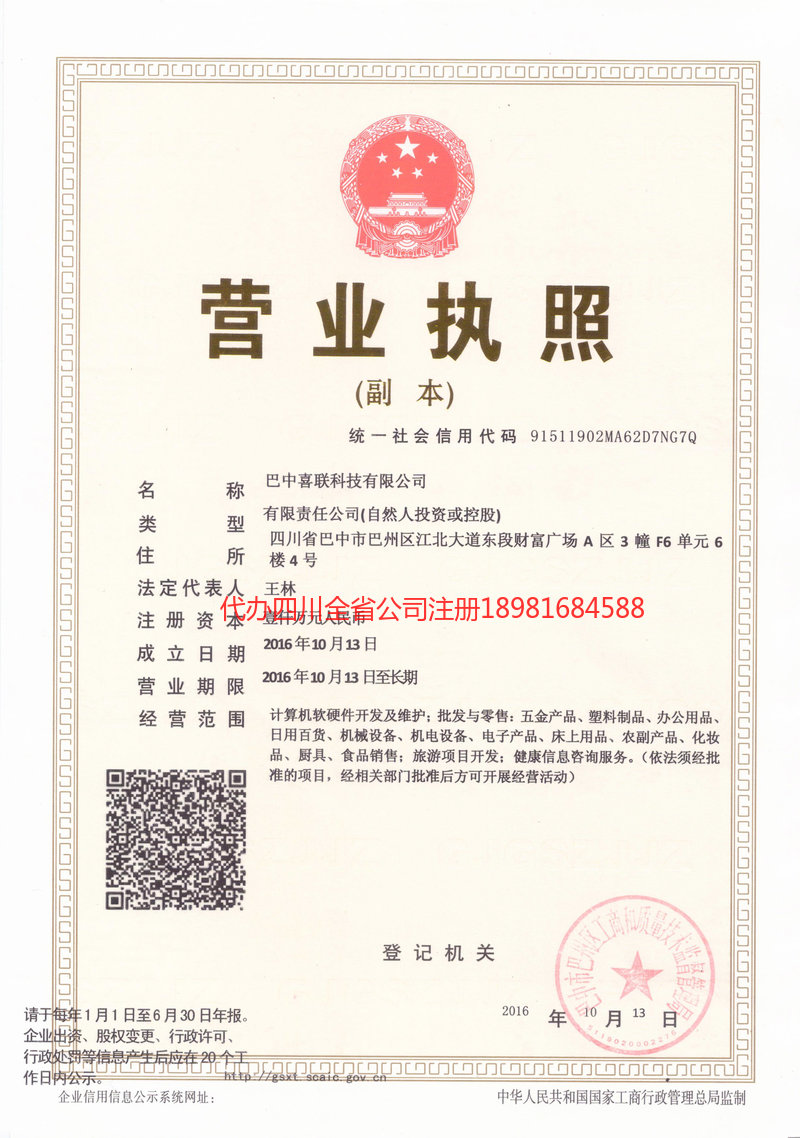 大冶大冶喜联科技有限公司